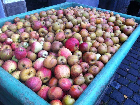 Historische Brennerei Ediger