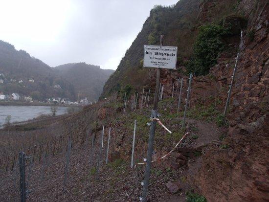 Weingut Rudi Steuer Valwig