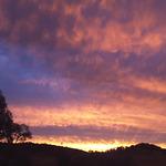 Kleines Kaffeehaus Moselkern