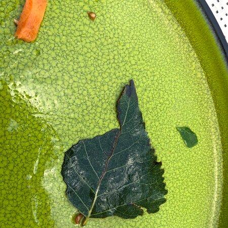 HeiMat Im Alten Casino