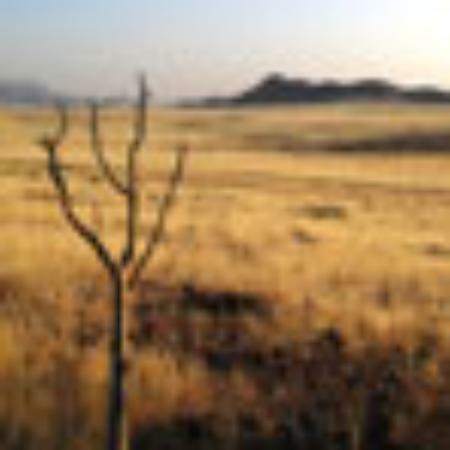 Moni's Und Andi's Imbiss